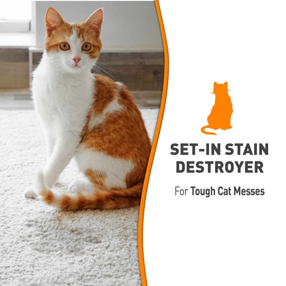 Set In Stain Destroyer for Cats Nature s Miracle